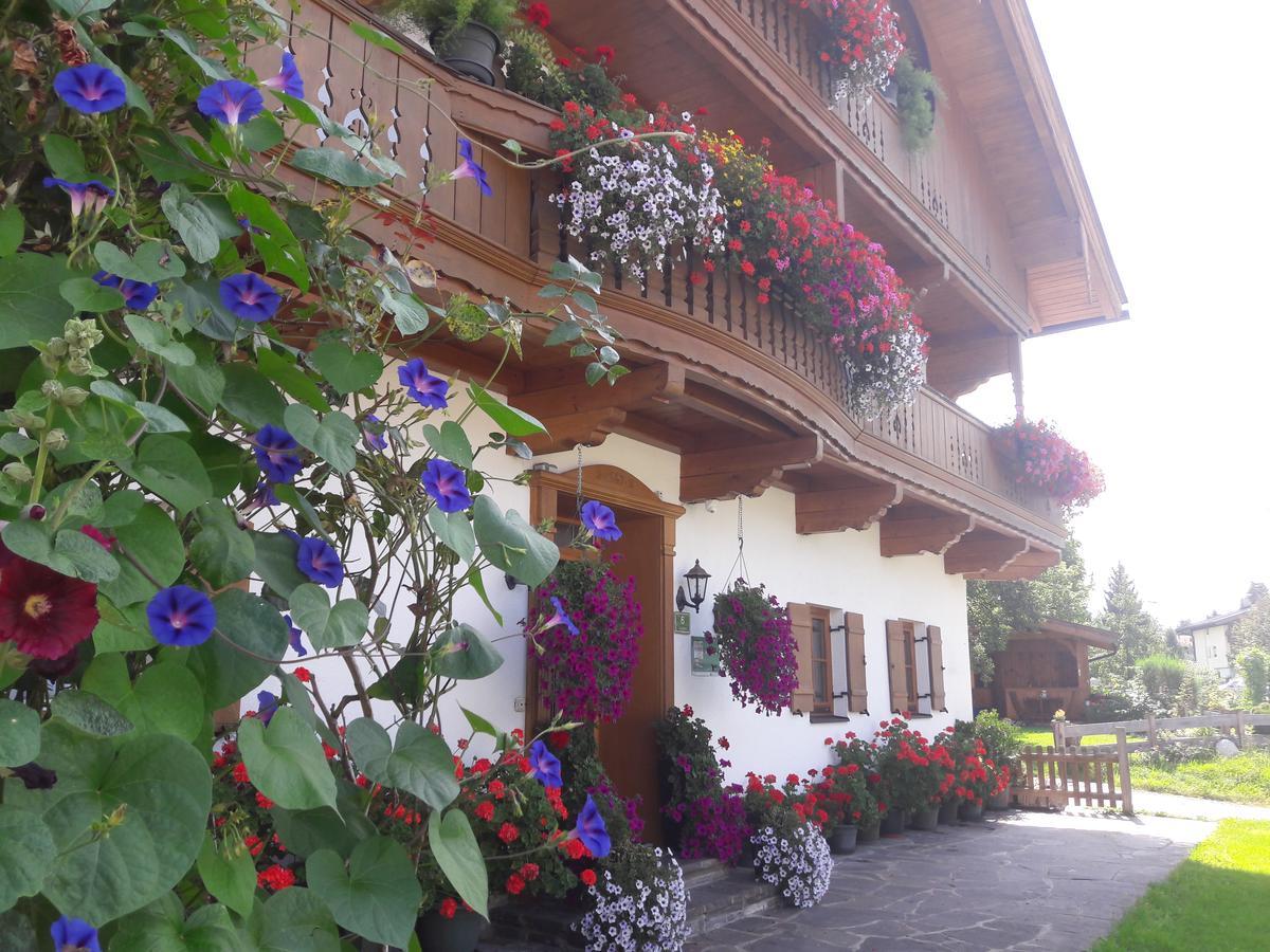 Hofbauer Villa Itter Exterior photo