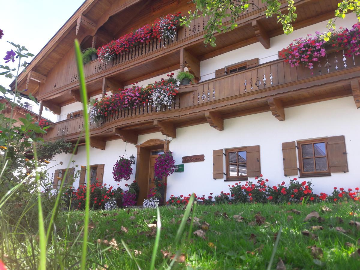 Hofbauer Villa Itter Exterior photo